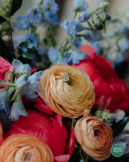 Olivia Layne Studios wedding photograph 52